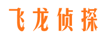 共青城调查公司